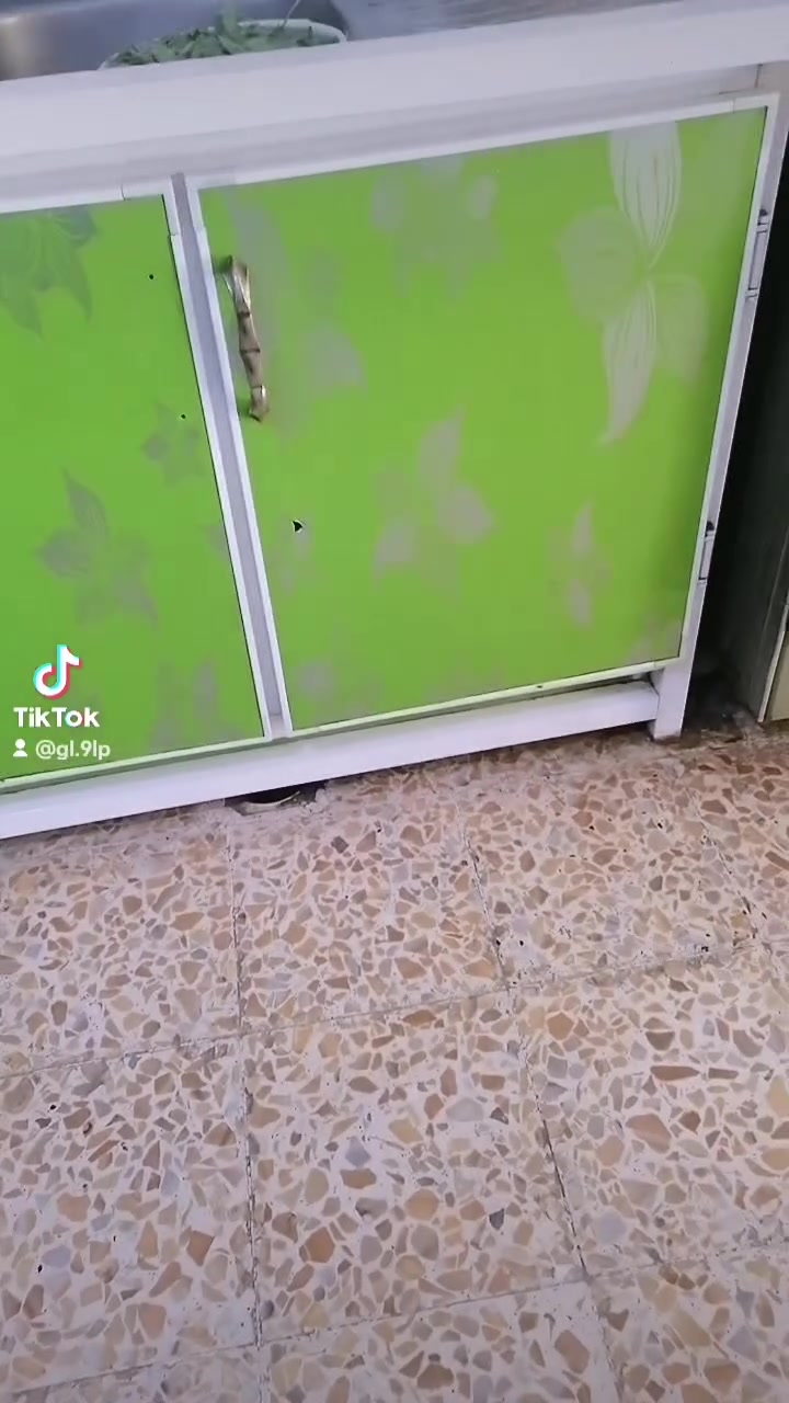 البيع ٢٠٠


**إذا كنت صاحب هذا الإعلان وتريد حذفه لأي سبب، رجاءا أرسل رسالة إلى الدعم الفني**