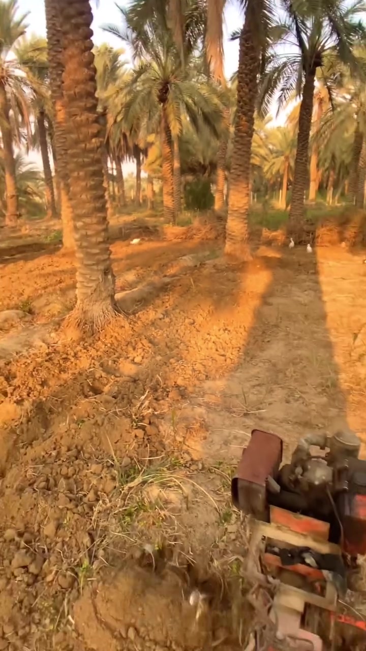 السلام عليكم
متواجد حاروثه لحراثة الارض وهذا شغلي مثل ما موضح بالفيديوهات وشغلها حسب حالة كاعك اشتغل لكل مناطق الفهود للاستفسار متوجد على الخاص او هذا رقمي ***********
