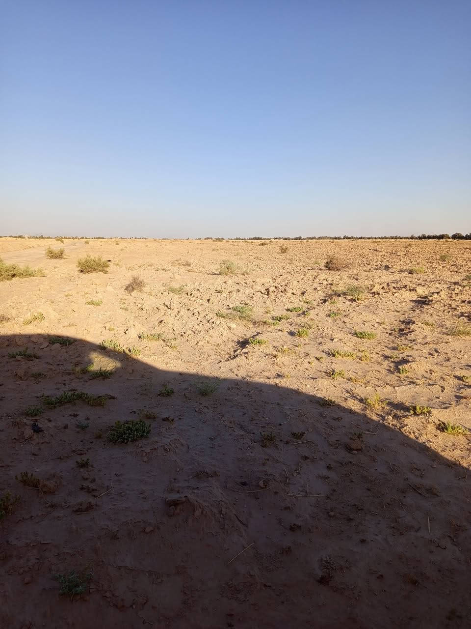 كالع اللبيع 18دونم عقد بيه بيتين وبير رتواز مزروعه جت موقعه بحر النجف تبعد عن شارع كار 300متر لاستفسار ***********
