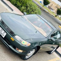 مارك نفخ • زيتوني • ١٩٩٣