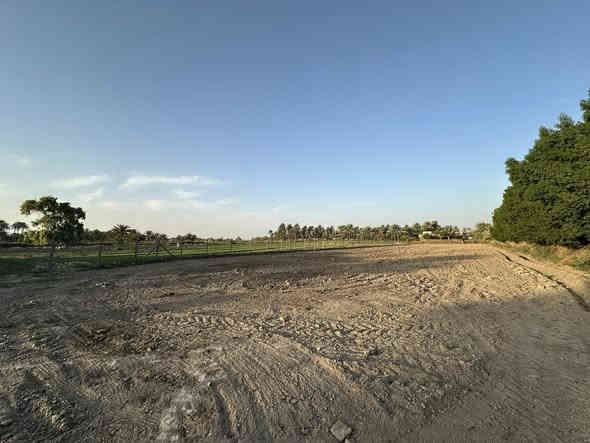 📍 للبيع: أرض زراعية شاطئية مميزة سند ٢٥ على جدول النيل الصغير
• المساحة: دونم ونصف (3,750 متر مربع)
 • الواجهة: 30 متر
 • العمق (النزال): 125 متر
 • الموقع: مباشر على جدول النيل الصغير، وتبعد 100 متر فقط عن شارع النيل القديم
 • الخدمات: ماء، كهرباء، وتبليط متوفرة
 • الاتجاهات: الأرض مفتوحة من جهتين (طريق قرب جامع موسى الكاظم، وطريق قرب عيادة المصطفى البيطرية على شارع النيل العام)
 • الاستخدام: تصلح للسكن أو كمزرعة، ويمكن بيعها مقطعة حسب الرغبة

📞 للاستفسار:
***********
***********
