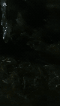 السلام عليكم شباب دراجه البيع نا نامه امتياز موديل 25 المكان حله ابو غرغ السعر 300 قفل الاستفسار هاذا رقمي ***********
