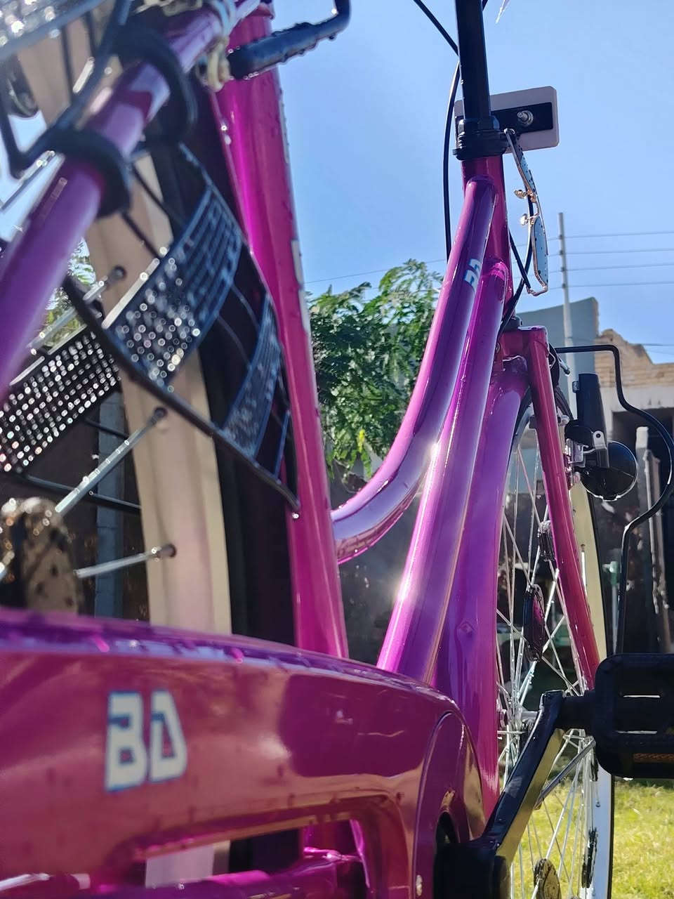 باسكل ياباني
شركه BD بيدي
باسكل صالي 5 ايام من أخذته
باسكل جديد زيرو
الباسكل مكفول من الضربه ول شخط 
مديل 2025 حجم 26
لون💜 وردي طوخ
مكاني نجف حي النداء شارع مجمع بيتي 
السعر 160 وبي مجال
للاستفسار ***********
