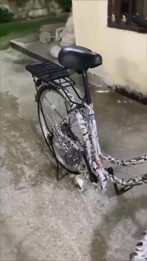 بايسكل مستعمل شي قليل للبيع
سعر 120وبي مجال بسيط


**إذا كنت صاحب هذا الإعلان وتريد حذفه لأي سبب، رجاءا أرسل رسالة إلى الدعم الفني**
