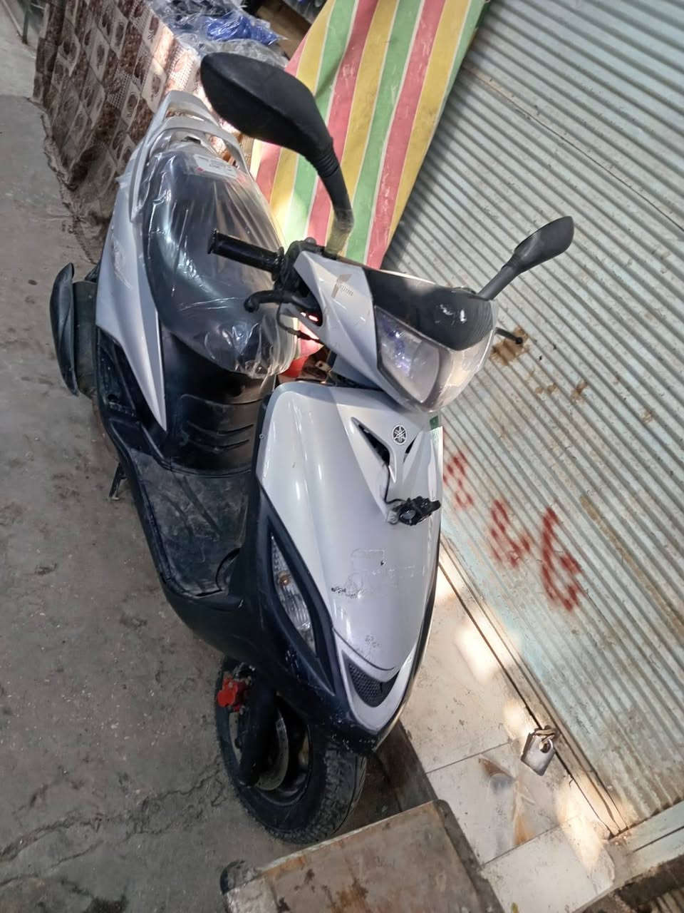 ماكس ثعلب للبيع س. 450 عنوان سوق الفلوجه ه *********** بي واتساب
