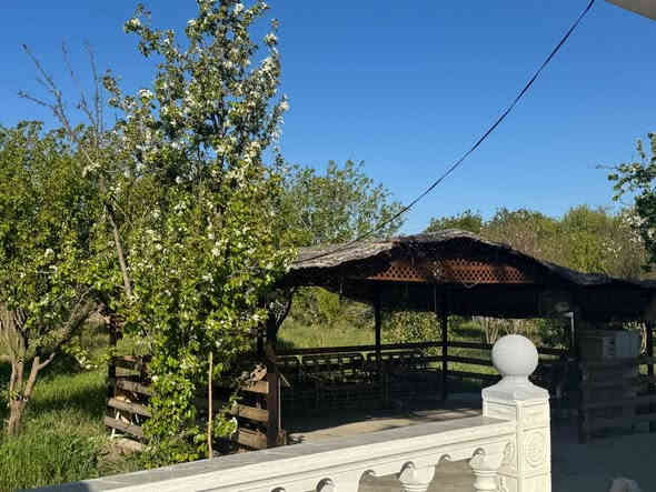 بستان ملك صرف زراعي المساحة دونم ونص الواجهة ٥٠ والنزال ٧٥ مسيجة بي ار سي وقرميد 

مي اسالة - مي سقي - بير ارتوازي - كهرباء وطنية- كهرباء مولدة - دار استراحة مساحة ١١٠ متر 

يحتوي اشجار (عرموط- مشمش- زيتون - حمضيات -نخل)

المكان بغداد_ الراشدية- منطقة الساده البو حياة-بلوك المهندسين 

***********
