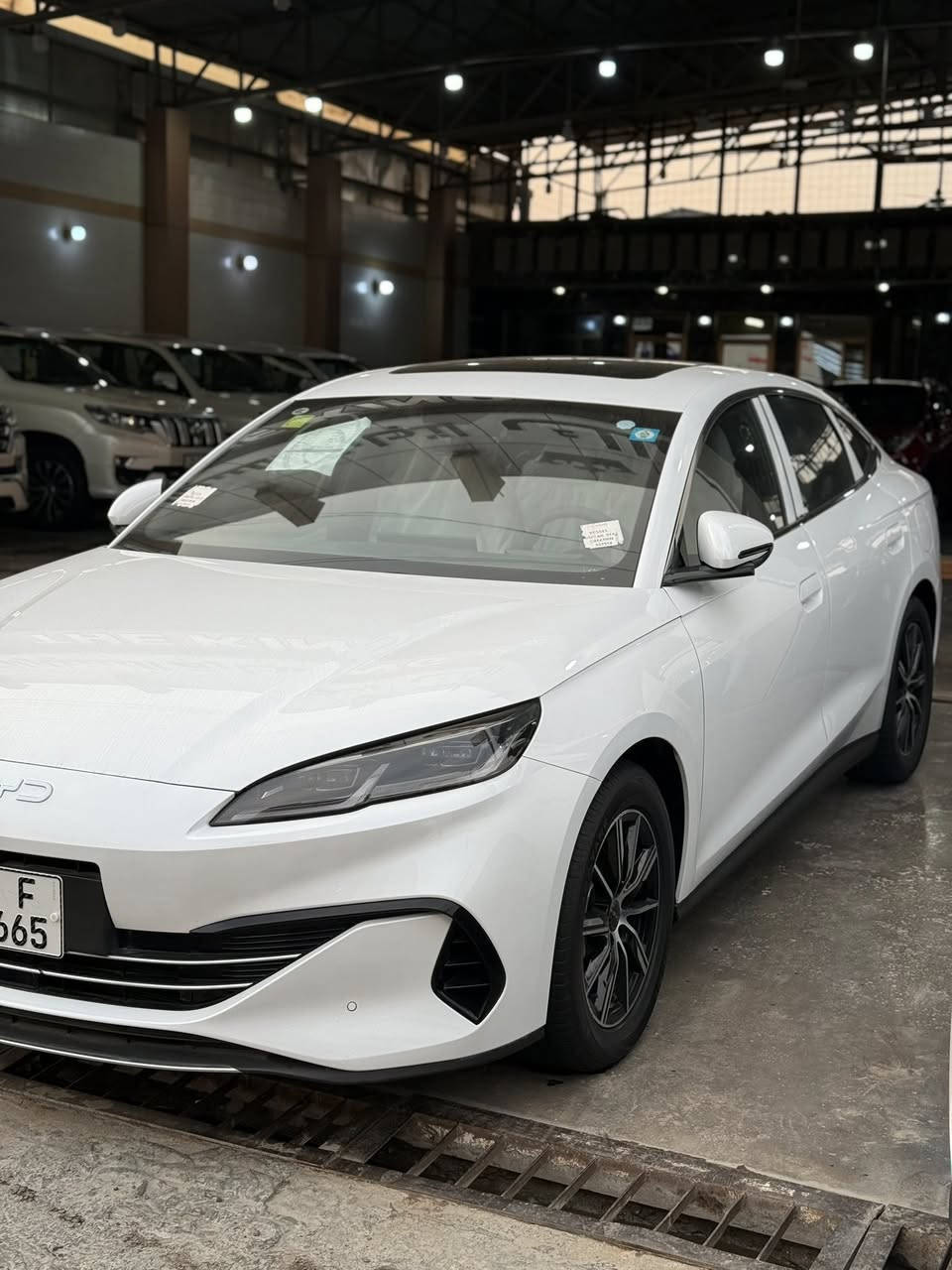 🔷معرض الملك لتجاره السيارات الحديثة🔷

                🔥دخول بي وايدي BYD السيل 6 🔥

      🔥موديل 2025 الفول  بنروما كارت والعده الكامله 🔥

                  🔥انتبهلي مرقم وكامل الرقم الجديد🔥

                       🔥الاسعار راح تكون تخبل 🔥

الموصفات
🔹مرقم بغداد الرقم الانكليزي
🔹بصمة تشغيل 
🔹بنروما
🔹حساس امامي
🔹حساس خلفي 
🔹كامرات ٣٦٠
🔹انتبه موديل 2025
🔹دخول ذكي 
🔹شاشه كبيرة قلابه
🔹ويل كب كبير الجديد 
🔹داجل جلد اصلي ابيض 
🔹حساس خلفي 
🔹كارت تشغيل 
🔹كامره خلفيه 
🔹هندبريك بصمه
🔹تحكمات ستيرن جهتين
🔹كير موس
🔹لايت زنون
🔹بك لايت ليد 
🔹تبريد قطعتين 
🔹يمشيك 2100
🔹لون الابيض
🔹باقي الموصفات المعروفه الفول لسيل 6

للستفسار زياره الموقع بغداد النهضه فرع الثالث فرع المصرف 

او الاتصال عله الارقام
***********
***********
