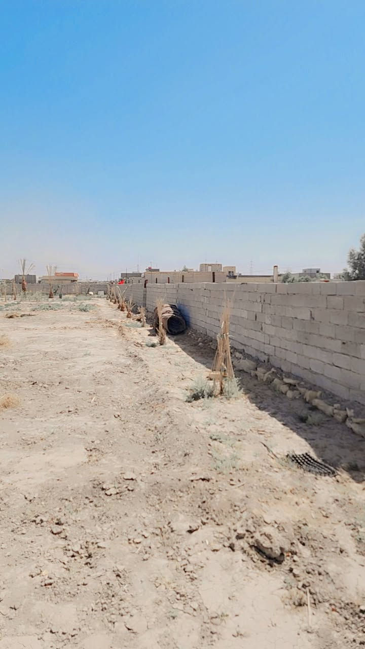 قطعة أرض للبيع في زراعي حي الجامعة  سند 25 مشمول بالتطويب مرقم، خدمات كهرباء وماء ومجاري مشمول بالجهد الخدمي المساحة 1000 متر الواجهة 49 متر، النزال 21 متر. للتواصل: ***********
