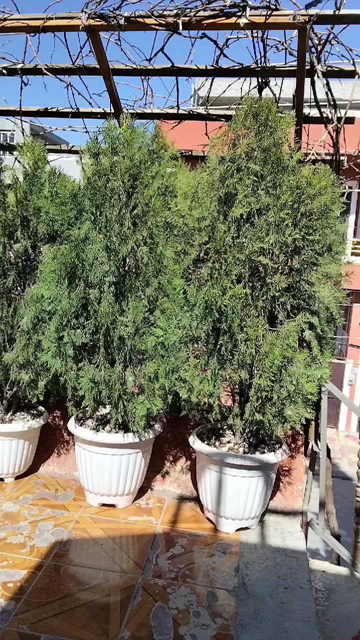 سڵاو  ۷ سنەوبەری زۆر جوان بۆ فرۆشتن نرخی دانەی ۲٥ هەزارو معامەلە لە سلێمانی


**إذا كنت صاحب هذا الإعلان وتريد حذفه لأي سبب، رجاءا أرسل رسالة إلى الدعم الفني**