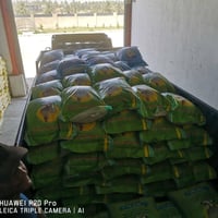 معمل اعلاف • بابل • ارباح شهرية