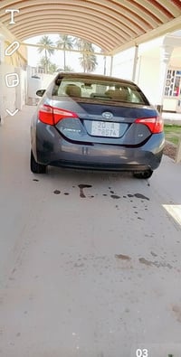 كورلا • ٢٠١٨ • قرب القدس