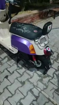 كفاله عامه • ٤اشهر • مستوردة