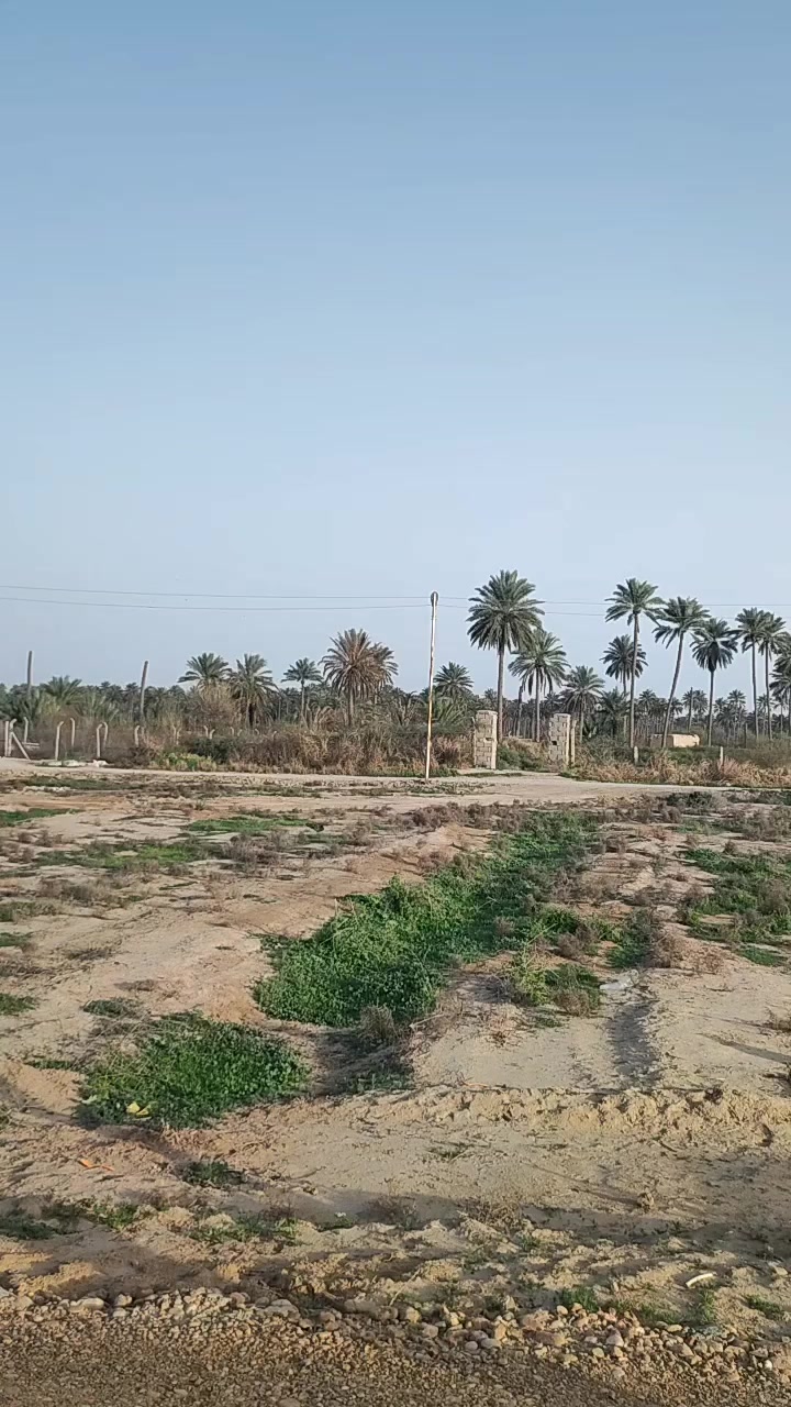 العدد محدود 
سعر ال 100متر = 10 ملايين فقط
بعقوبة منطقة السبتيه قرب جسر الجورجية 
للاستفسار ***********
