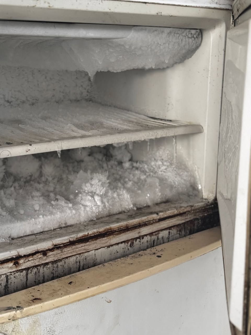 للبيع


**إذا كنت صاحب هذا الإعلان وتريد حذفه لأي سبب، رجاءا أرسل رسالة إلى الدعم الفني**