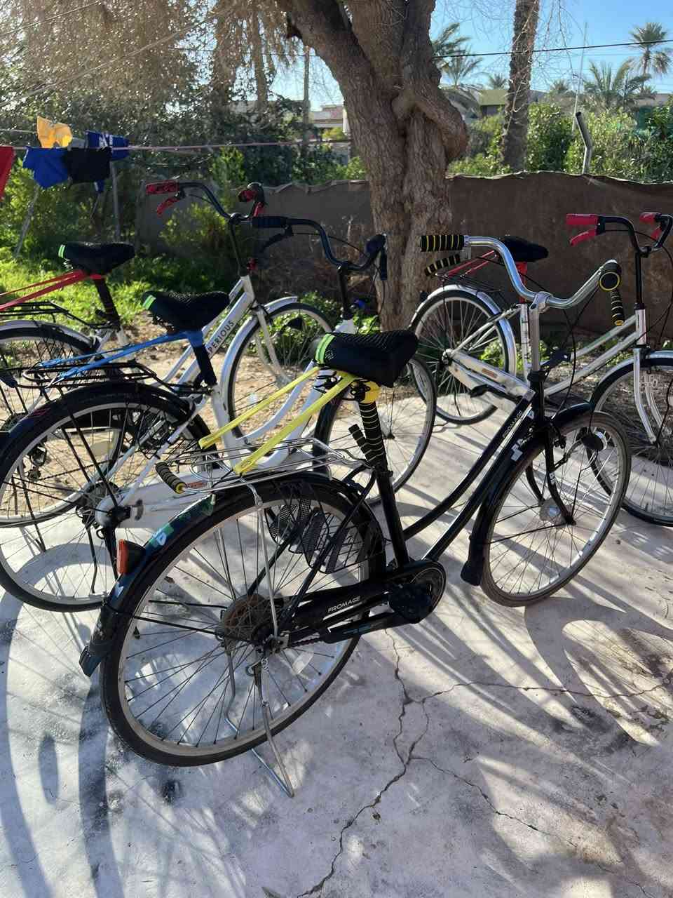 للبيع باسكلات حجم ٢٦واحد حجم ٢٧باسكلات مال حاويه ما مستخدمات ياباني مابيهن نقص بيهن كير حساس سعر واحد ٨٥مكاني شهربان ***********
