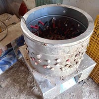 هلاسه • حجم كبير • سماوه الرميثه