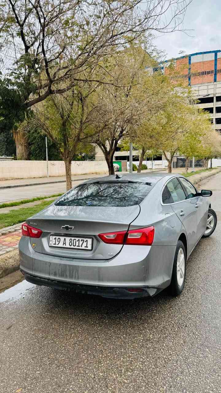 السلام عليكم
ماليبو 2023 وارد امريكي ضرر جانبي موضح ايرباك برده فقط رقم كربلاء بأسمي تحويل مباشر مواصفات اعتيادة بصمه تشغيل شاشة ابل كار بلي تحكمات رادارات دواخل عسلي كشن كهرباء محرك 1.5 تيربو 
العنوان كربلاء حي الحسين 
السعر 125$ ورقة
*********** كربلاء, العراق
