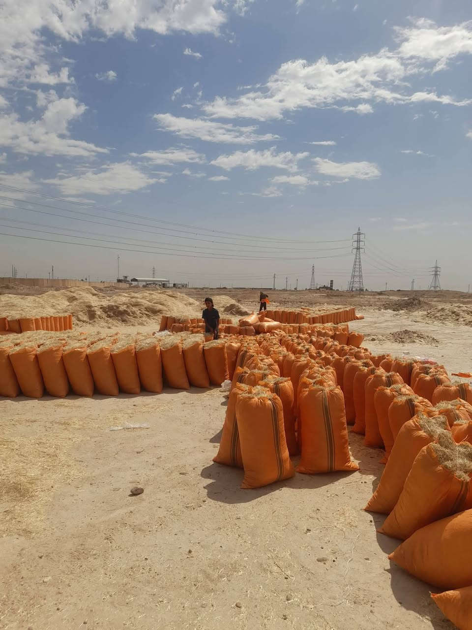 السلام عليكم يوجد لدينا تبن مال السنه شليف ابو 60يوجد سعر الزوج بل البكان 2500يوجد توصيل الجميع محافظات رقم‏‪***********/***********/
