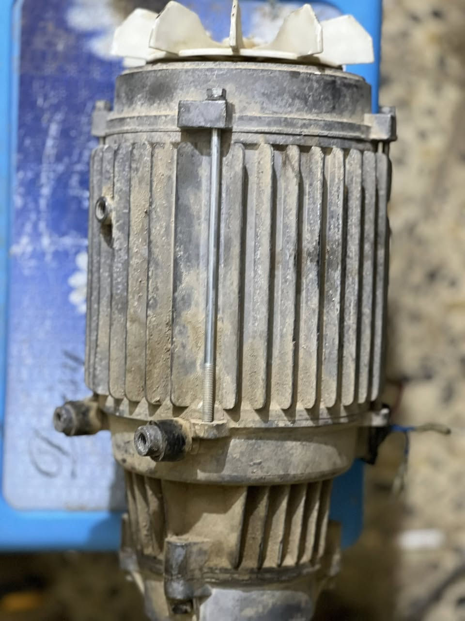 ماطور فارة للبيع 💯الملف بعدة مراية نقص ضاغطة
استفسار ع الخاص


**إذا كنت صاحب هذا الإعلان وتريد حذفه لأي سبب، رجاءا أرسل رسالة إلى الدعم الفني**