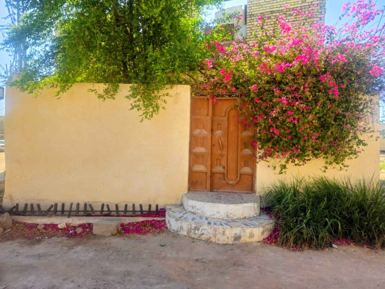 دار للبيع  بالكوفة قرب فلكة الدلال طابو زراعي ومعاملة طابو صرف كاملة
طابقين الطابق الثاني واصل للسقف

ركنين على 3 شوارع 

مساحة البيت الكلية 240

180 بناء

31 دنكة كونكريت مسلح (بيت وسياج دنك)

اساس صب وسقف صب كونكريت وبناء طابوق

كهرباء بواري دفن شغل راقي جدا ومتعوب عليه

يحتوي البيت على:

الطابق الاول:

صالة كبيرة جدا

2 غرف

استقبال

مطبخ

حمام داخلي سيراميك وسقف الحمام صب كونكريت مسلح مع مخزن فوقه

حمام خارجي سيراميك سقف صب كونكريت مسلح

صالة

الطابق الثاني مبني للسقف

3 سويتات مع حماماتهن

الحديقة مزروعة ومثمرة ما شاء الله.

العنوان: الكوفة قرب فلكة الدلال.

***********
