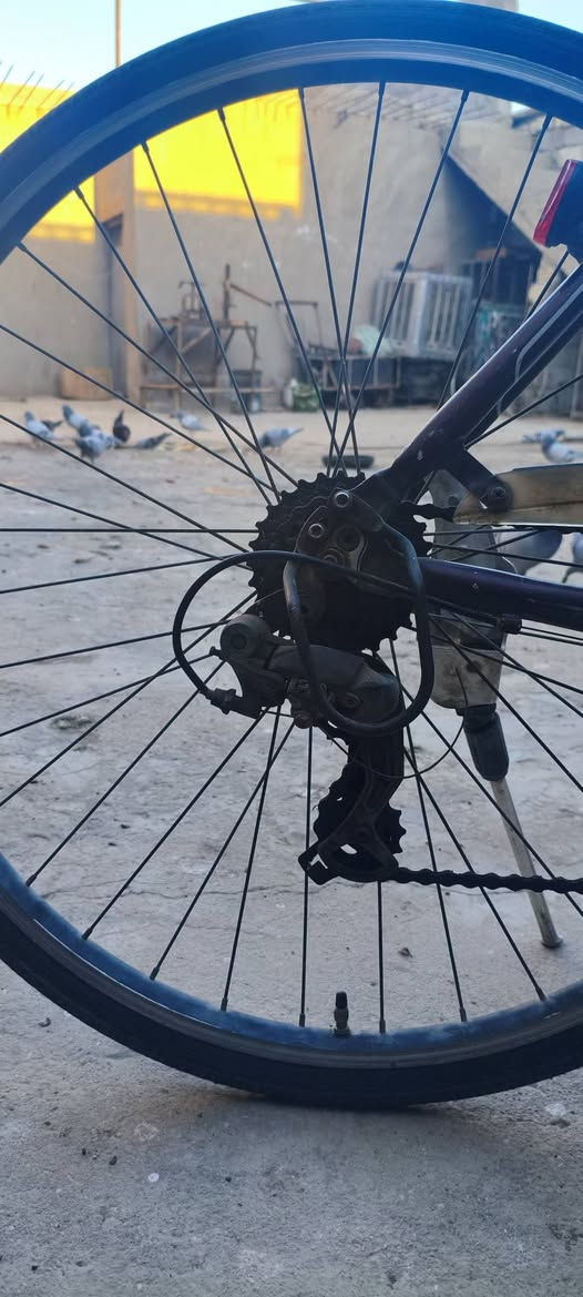 السلام عليكم
اخون متاح بيسكل ماركة نظيف وكل غراضه شغالة وعلى وضع البلاد سستم شيموني كامل تايرات جدد البيسكل مابيه اي نقص 
السعر 100الف وبيه مجال 
العنوان بغداد منطقة الغزالية شارع الضغط


**إذا كنت صاحب هذا الإعلان وتريد حذفه لأي سبب، رجاءا أرسل رسالة إلى الدعم الفني**