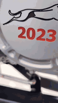 اسلام عليكم ستوته البيع مديل خمسه وعشرين وكيلهه بلاال السعر 2وستميه وبيهه مجال الشراي بي خير ويدال ماكني قرب العلويه شريفه بنت  الحسن هاذء رقمي للتواصل ***********
