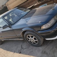 مارك كصيف • مكفولة • تحويل مكان