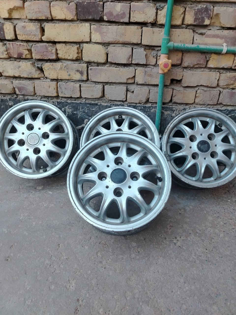 تخم ويل كب للبيع مال سايبه مكاني حله مركز  ***********
