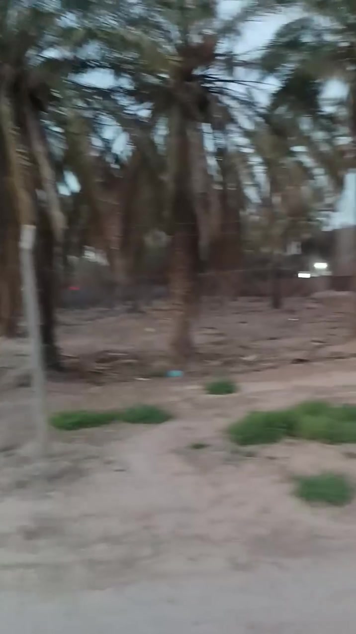 اللهم صل على محمد وآل محمد
قطع للبيع طابو زراعي صرف سند25 
حله داخل الطهمازية خلف سكلة الحاج احمد علي الجاسم قرب بانزين خانة الود البابلية 
***********
***********
 يوجدبيوت كل المساحات وقطع اوقطع تجاريه وقطع قريبه من العلوية شريفةع وقطع اكبرتريدالف متر او دوانم اوبيوت وقطع طابوصرف
