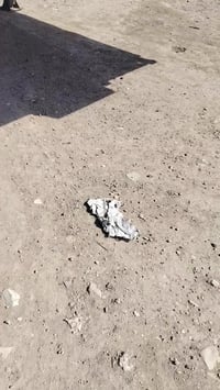 كربلاء • شاحنات • للبيع