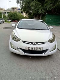 الانتره • ٢٠١٦ • صبغ قطعتين