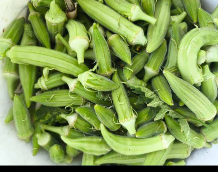 السلام عليكم بذور بانيه للبيع العمرانيه متعهد بيها للحوي  شرط ***********
