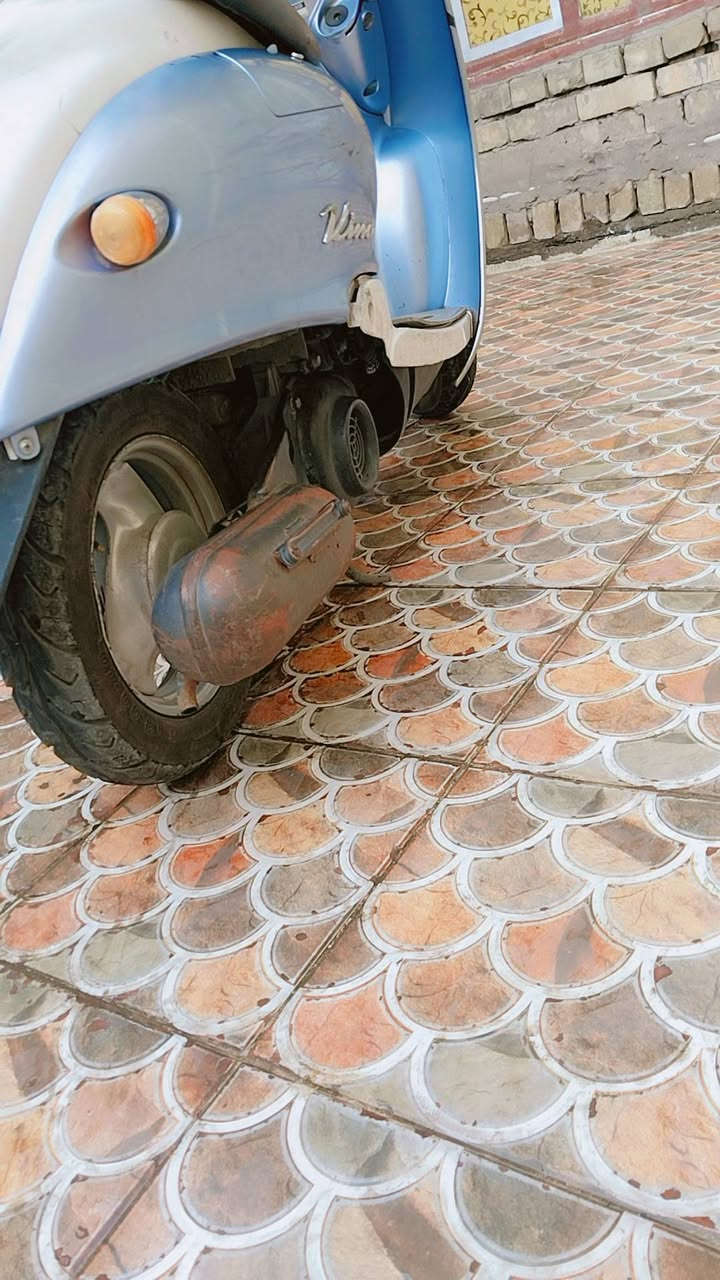 دراجة عبد الحليم للبيع
مكينة ومعدل وشلعة جدد لا مجففة ولا مفتوحة شرط تفحص وين ما يعجبك سعر 275 وبيهة مجال شرط رمبة ***********  مكان بغداد حي العامل
