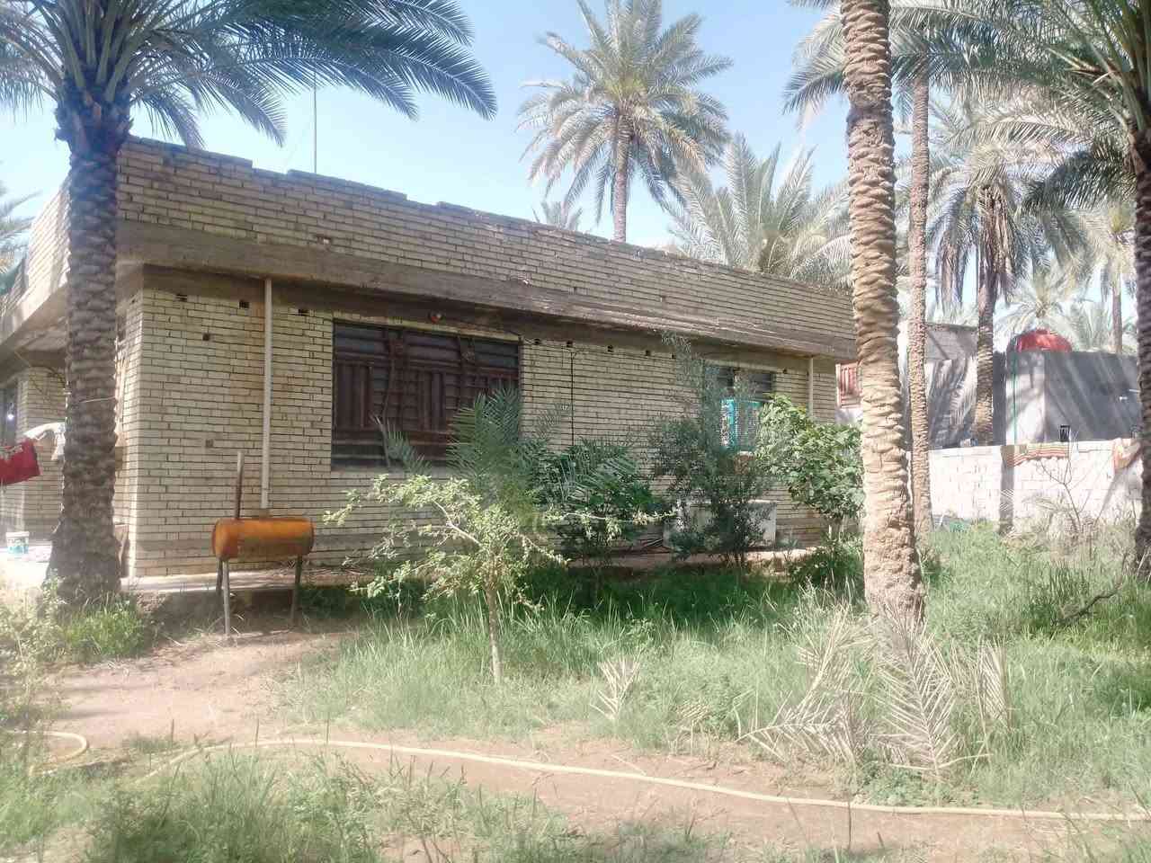 دونم سند 25 للبيع تحويل اسهم بأسم المشتري كربلاء طريق بغداد عمود 54 خلف جامعة الزهراء  يبعد عن الشارع العام تقريبا كيلو ونصف وعن التبليط تقريبا 50 متر يحتوي دار مساحة البناء 225م بناء درجة اولى 3غرف نوم وصالة واستقبال ومطبخ وصحيات كافة الخدمات ماء اساله ونهر سقي وكهرباء واجهة الدونم تقريبا 80 م البستان  غابة حمضيات ونخيل السعر وباقي التفاصيل الاتصال على الرقم ***********
