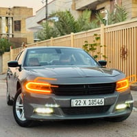 جارجر • ٢٠٢٣ • بدون صبغ