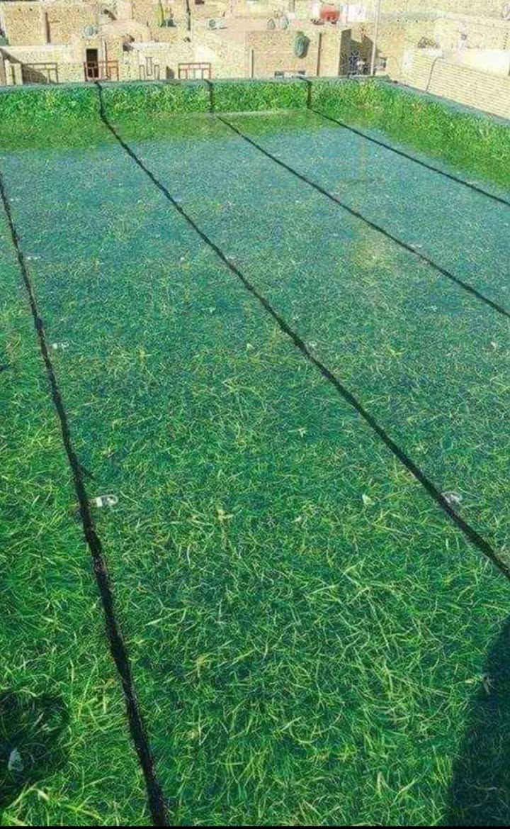📞  ***********  📞
( ضمان العمل لمدة 12 سنة صيانة مجانٱ ) 
🌧️تعلن شركة الريان للأيزوكام🌧️ العاكس للحرارة والمانع للرطوبه🌧️ عن استعدادها لتغليف سطوح المباني الحكوميه والاهليه وبأسعار مناسبه جداااا  والسمك 6 mm ((الأصلي)) مع ضمان جودة العمل 12 سنة الأيزوكام يعكس🌞 الحرارة بنسبه80 % عن بيتك 🌞💦ويمنع الرطوبه 🌧️بشكل نهائي عن السطح ويتحمل كل ضروف المناخ   تعمل المادة على الصب والفرشي والأشتايكر والجينكو والسندويج بنل و على سطوح المزفته وتغنيك هذه المادة عن استخدام الطرق القديمه في البناء الثقيله والمكلفه مثل التراب والنايلون والفلين والطين ......الخ للأستفسار يرجى الأتصال على الرقم *********** ☎️ لسنا الوحيدون لكننا الأفضل  تعمل كوادرنا من شمال العراق الى الجنوب  ؛؛؛ اترك عنوانك ونجيك الباب بيتك وتدلل.. سوي مشاركه للمنشور ..فضلا وليس امراا الرمادي, الأنبار
