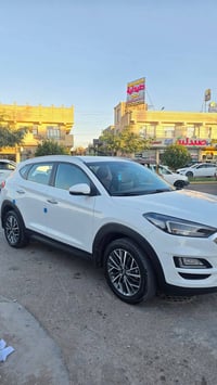 توسان ٢٠١٩ • مكفول صبغ تبديل • كربلاء