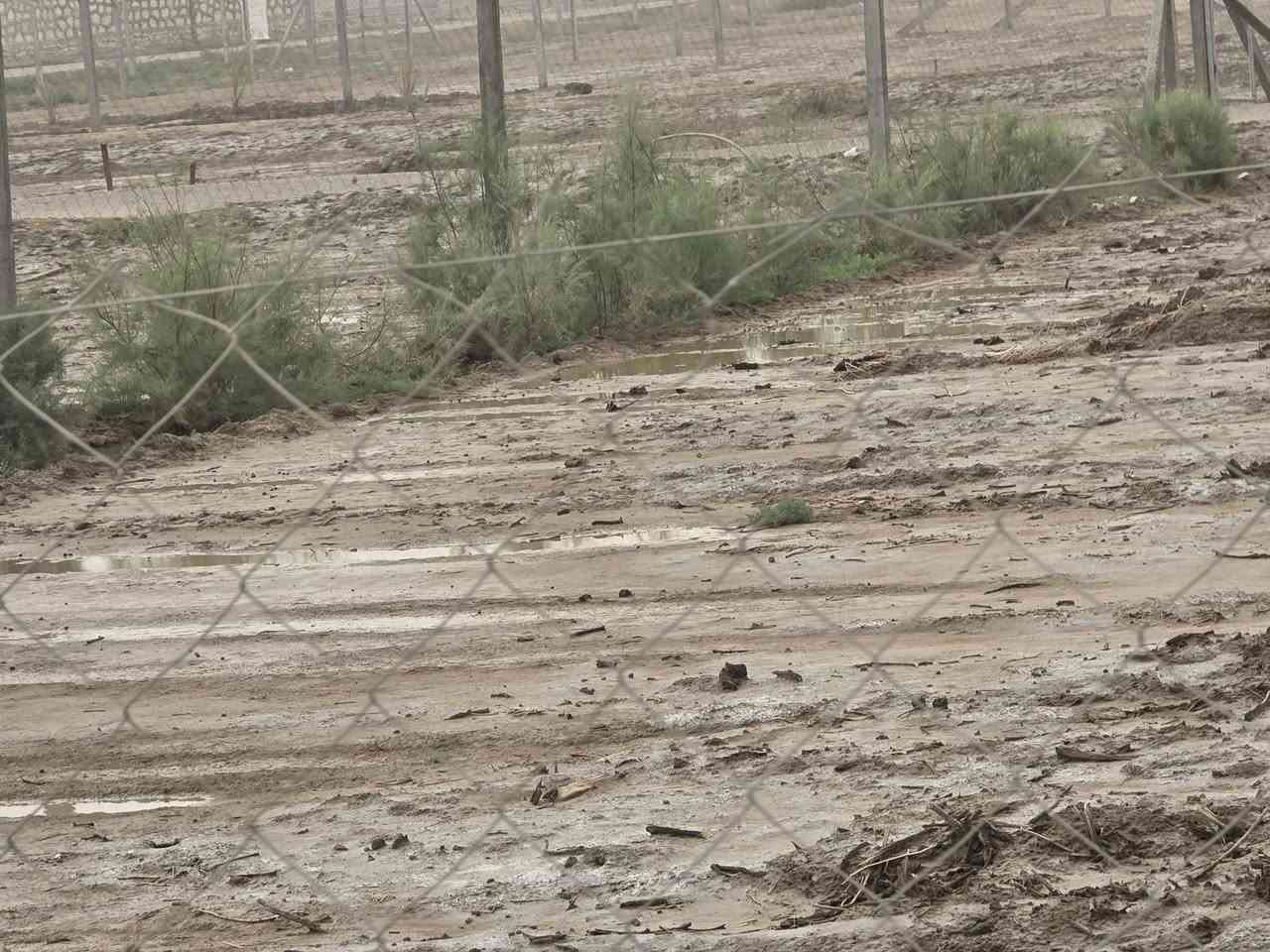 قطعة 500 متر سند 25 مداور مباشر خدمات(ماء-كهرباء-تبليط-مولد شارع)
السعر 8 مليون ترهم أقساط او نقد
للإستفسار ***********
