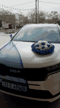 تزيين سيارات • أعراس • المقدادية