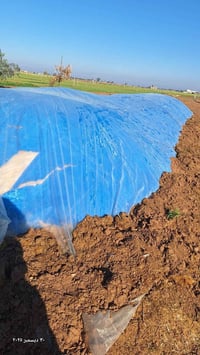 ورحمه الله وبركاته يوجد تبن للبيع  ٤ كابينات الرقم 07857089900 0773570...