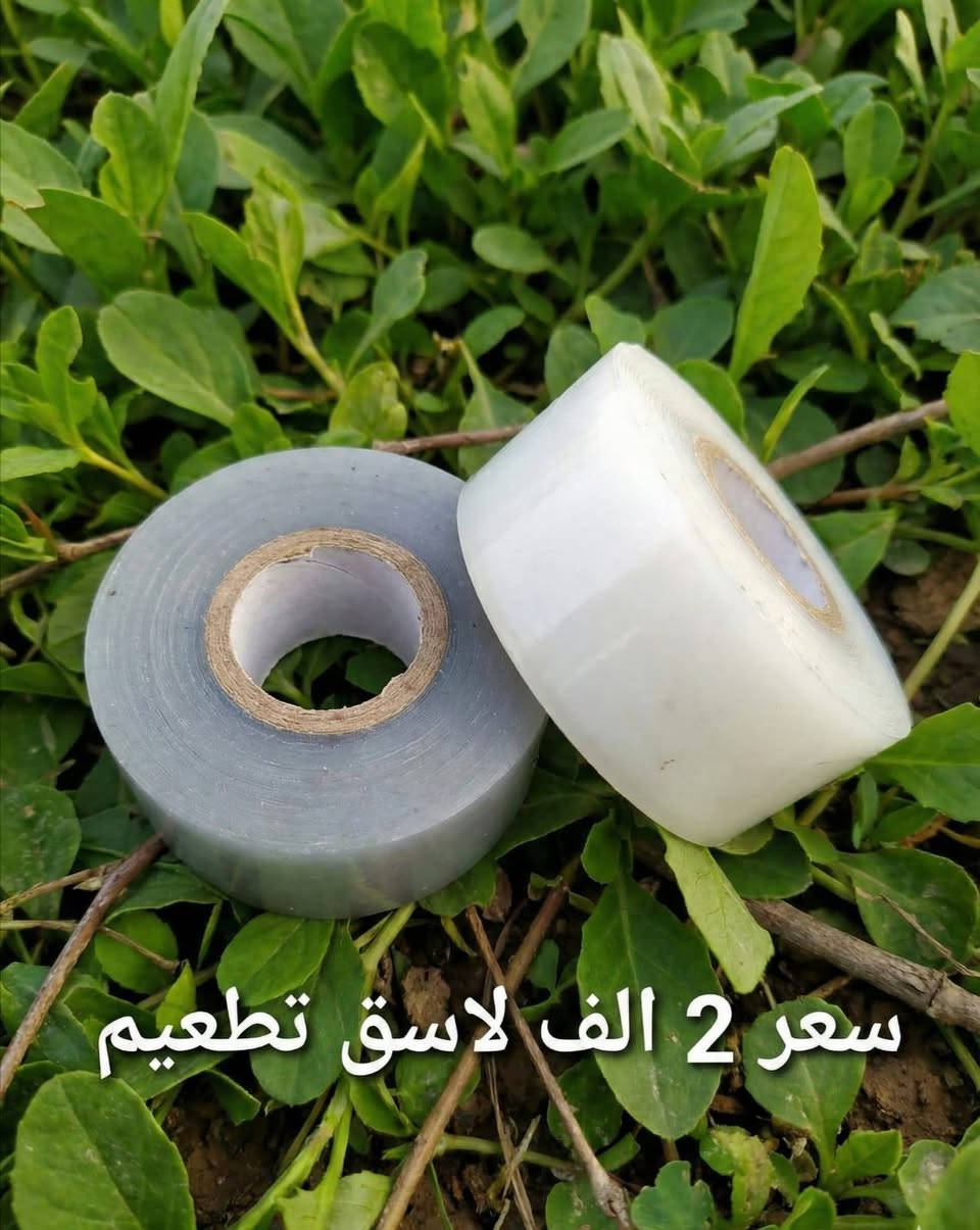 معدات زراعية
توصيل كل محافظات العراق
للحجز والاستفسار *********** واتس اب او خاص
#ادوات_زراعية
#مقص_تقليم
#مبيد
#تقليم_اشجار
#تطعيم_اشجار
#حدائق
