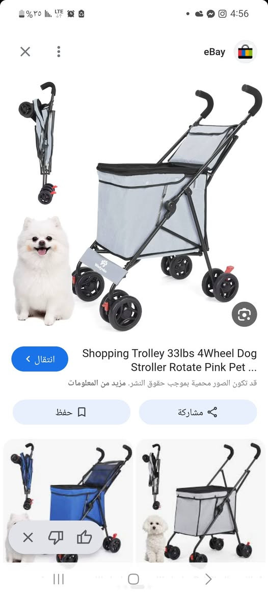 ٣٥


**إذا كنت صاحب هذا الإعلان وتريد حذفه لأي سبب، رجاءا أرسل رسالة إلى الدعم الفني**