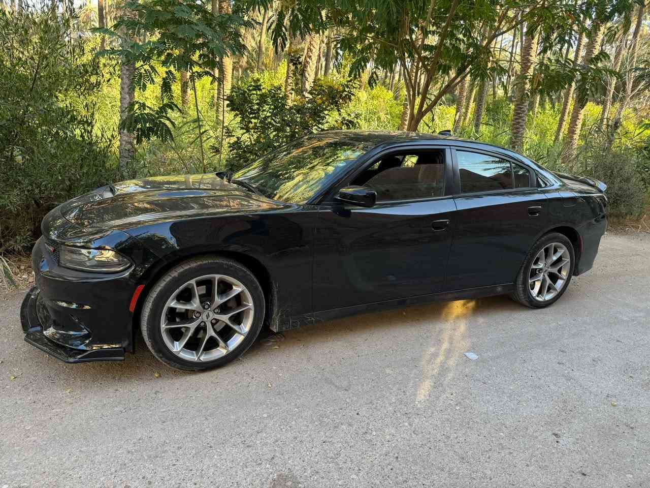 للبيع دودج جارجر GT 2020   وارد امريكي محرك 6 سلندر رقم اربيل باسمي ماشية 80 الف ميل
مواصفات gt
صدر جديد تخم تاير جديد اصلي من وكالة تاير مول
ادامة كاملة 
السيارة مابيها اي نقص 
 صور الحادث والسونار بالمنشور ضربه سطحية بدون ايرباك مكفولة ايرباك ولغد وشواصي ومحرك وكير   مكان ديالى بعقوبة تليفون *********** 
السعر اتصل او علق وادزه الك خاص 
رجائاً قبل لتتصل تاكد من السونار والتفاصيل
