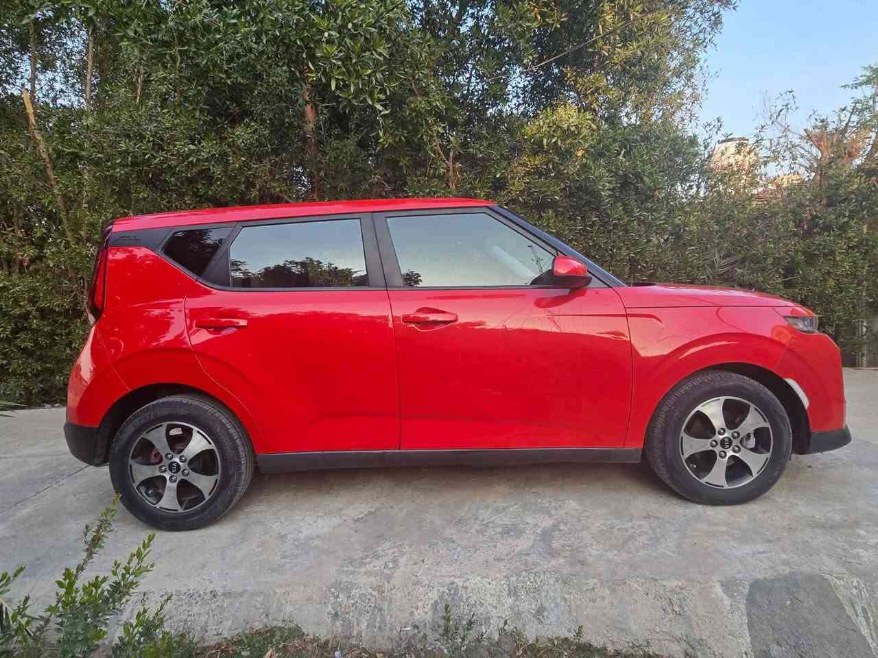 كيا صول موديل 2020 تفاصيل بالسونار مكانها بابل الاسكندرية 

*********** حلة, بابل
