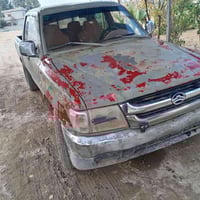 دير • ٢٠٠٩ • مكفولة مصبوغة