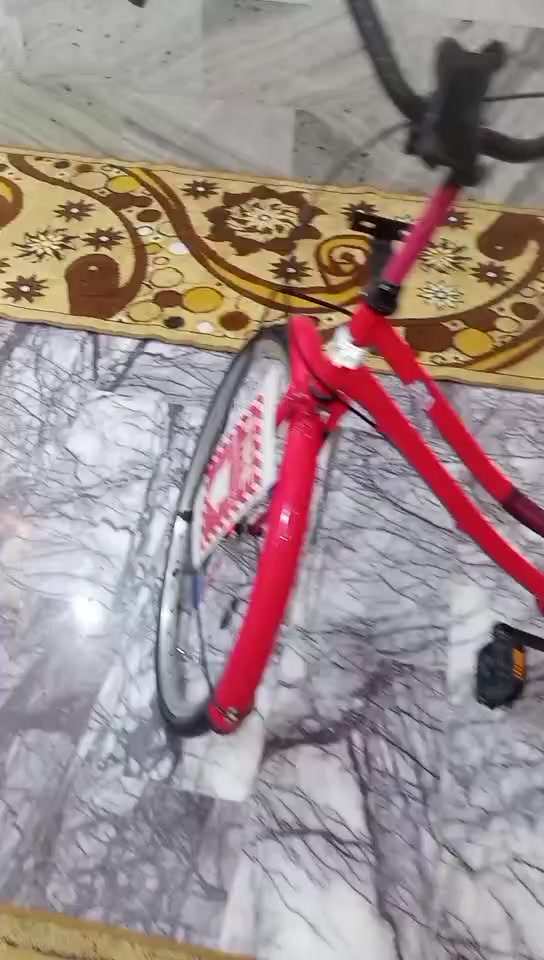 بايسكل بناتي شركه BD لون مميز دم الغزال البايسكل نصبته حلوه نضافته 95% البايسكل تايرات جدد دسك جديد البايسكل جديد اي نقص ما بي السعر 130 مع الغراض بس مجال قليل مكاني بغداد الكماليه حي السلام قرب مستشفى الفضيليه رقمي ***********