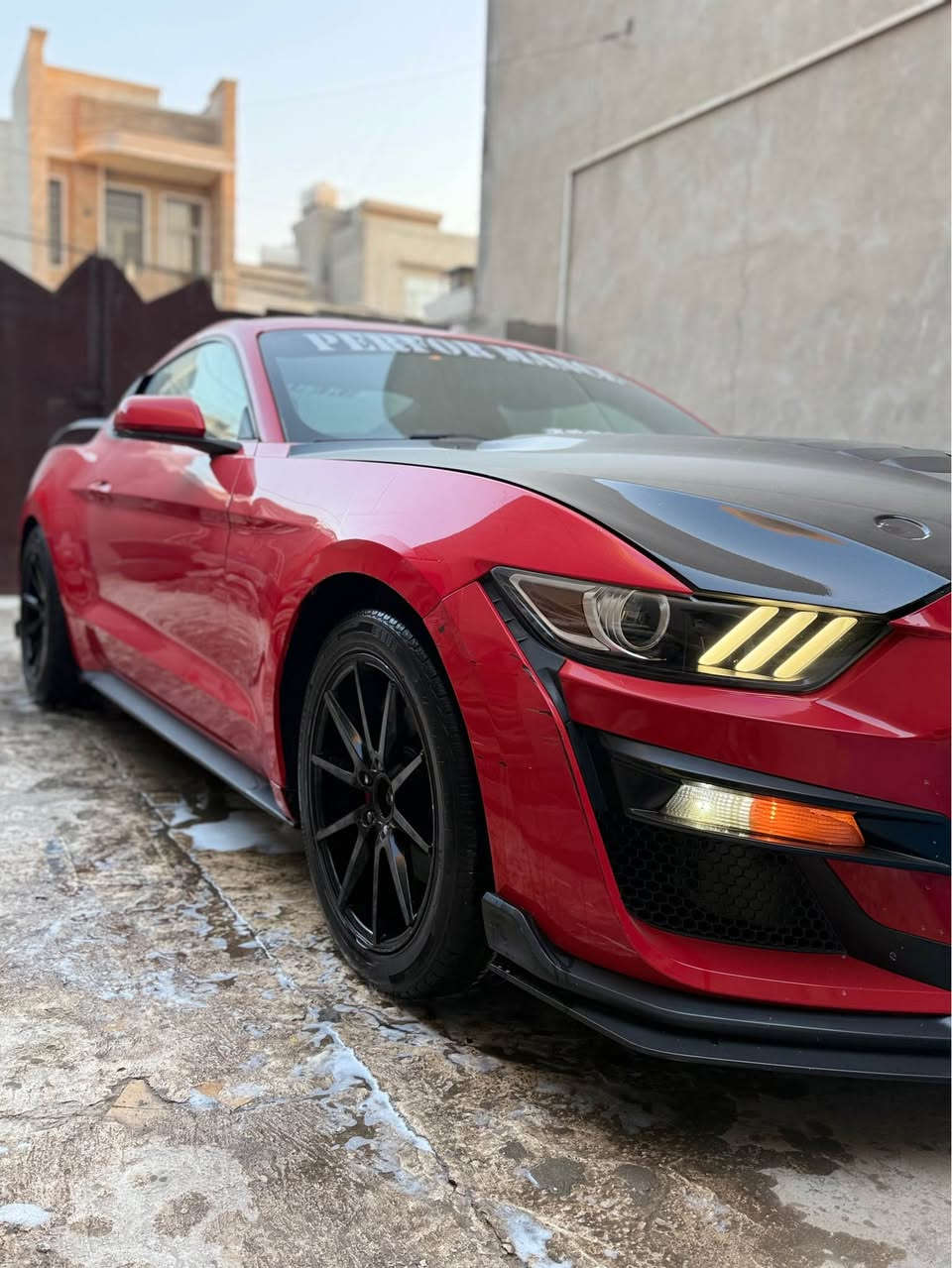 موستنك موديل 2015سته سلندر  ماشيه 92  وقابل للزياده

السعر(147)بيه مجال اي نقص يطلع بسياره واكع من ضمن السعر تدللون عليه 

.. كشنات كهربائي 

تدفئه 

تشغيل عن بعد 

تحكم ستيرن 

مثبت سرعه 

تبريد منظومه جديده   

تاير تخم جديد  

منظومه زنون كامله 

 

بنيد محدث شيلبي" دعاميه محدثه شيلبي 

أدامه غرفه حتراق بل كامل 

ضربته جاملغ ايسر  + بيها صبغ باب السايق وجاملغ الخلفي فقط صبغ ايرباك سليم نفس الصفحه  مثل مموضح بالصوره  

 

فيت بم ريسنك

بلكات ريسنك  

مكينه قويه وخير من الله " السياره مال بيت

مكان السياره بغداد شارع فلسطين الاستفسار *********** بغداد, العراق
