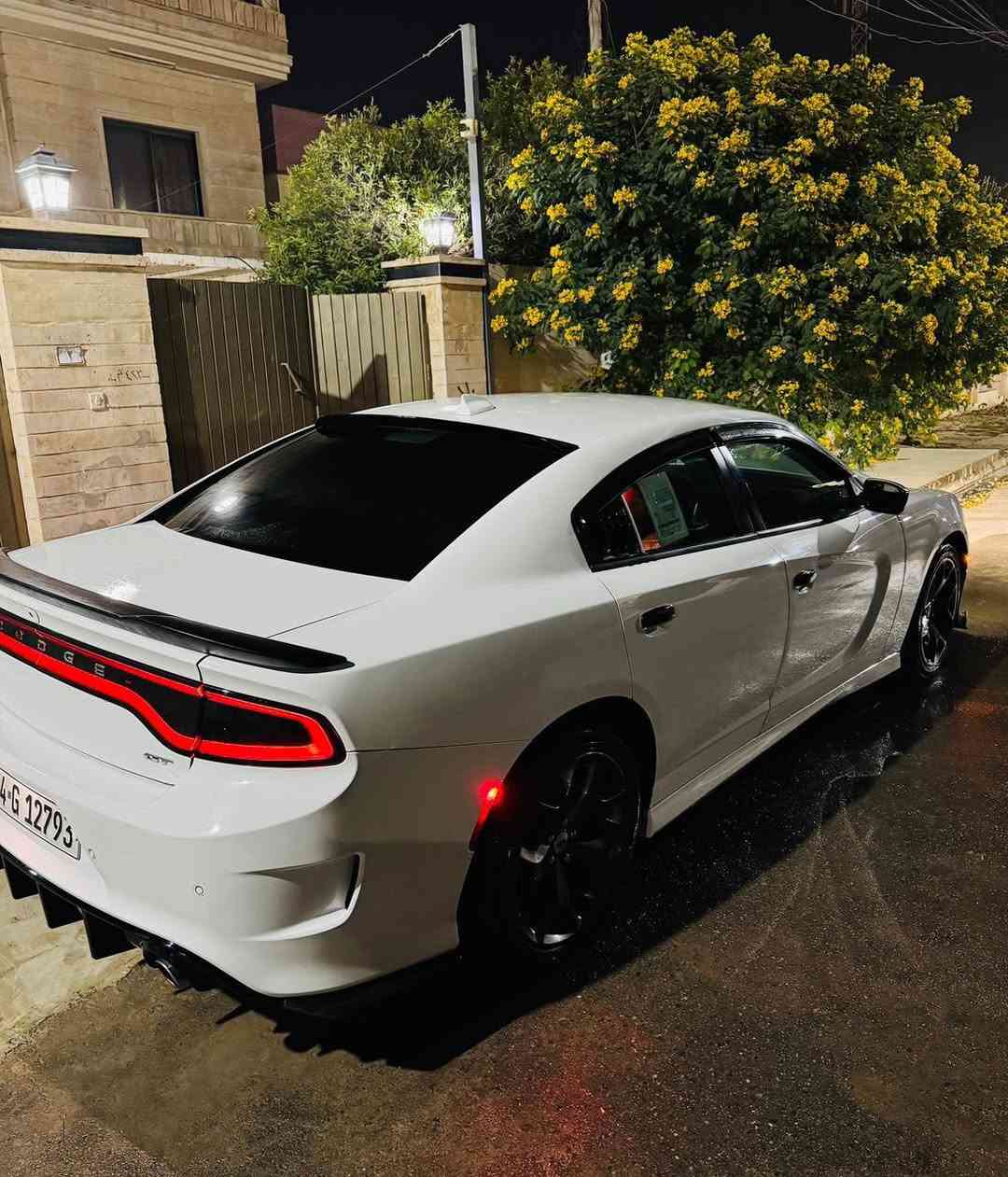 سلام عليكم
دلال جارجراات توفرت عندي كلشي كل الاوان امريكي كندي خليجي ومن ١٥ لل ٢٣ 

متوفر جارجرات SXT/GT/RT

8 سنلدر و 6 سلندر  الي يدور وما لاكي موجود يمي بس دزلي مواصفات وتلكه عندي 

متوفر عندي من ١٥ لل ٢٣ جارجر جالنجر

وعندي سكات واس ار تي هيلكات كل الفئات مال جارجر وجالنجر موجود

توفرت عندي حالياً وجبه قويه اكثر من ٢٠ سياره و ٩٥٪؜ بيهن كلين واسعار مناسبه ارقام بس اربيل وسليمانيه و بغداد 

متوفر ٢٤ ساعه

تخابرني الفجر ارد عليك

للاستفسار ***********
