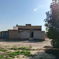 شارع الدواجن • ٥ دونم ونص • ٥٠ نخلة