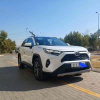 راف فور • ٢٠٢٣ • كفاله عامة